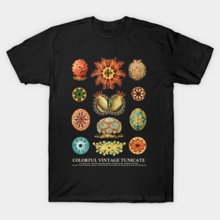 Colorful Vintage Tunicate Set T-Shirt